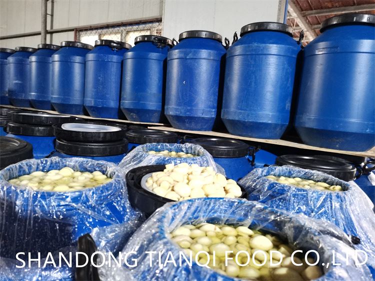 hot selling white mushroom in brine in drums