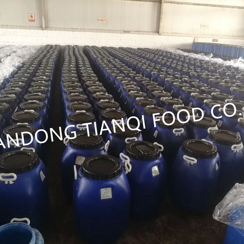 factory normal white garlic in brine in drums
