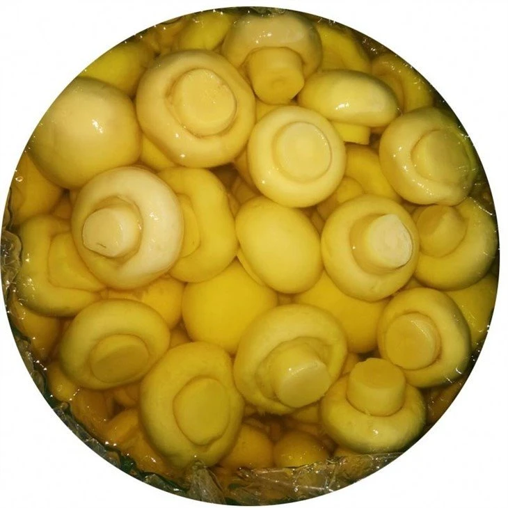 Good quality whole white mushroom in brine in drums