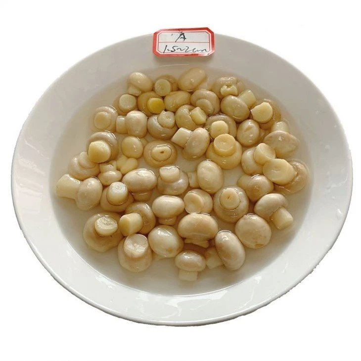 Cheap price whole white mushroom in vinegar in drums