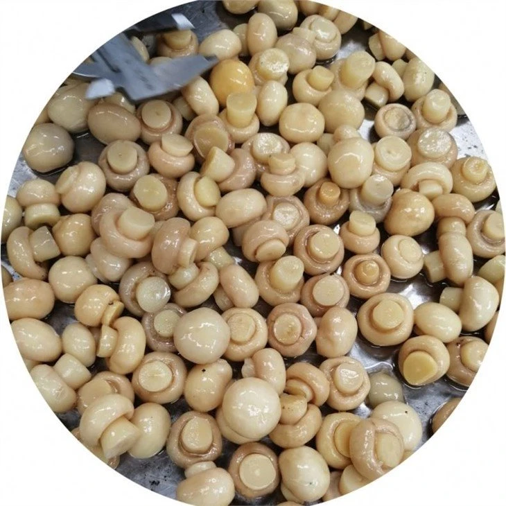 Whole white button mushroom in brine in drums