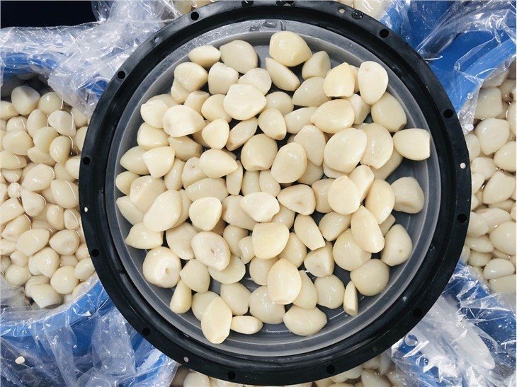 Preserved normal white garlic cloves in brine in drums