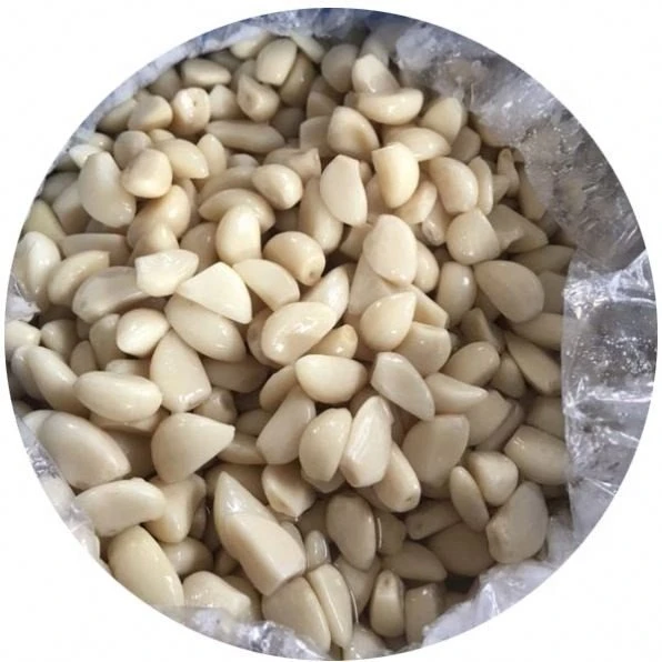 White garlic in drums