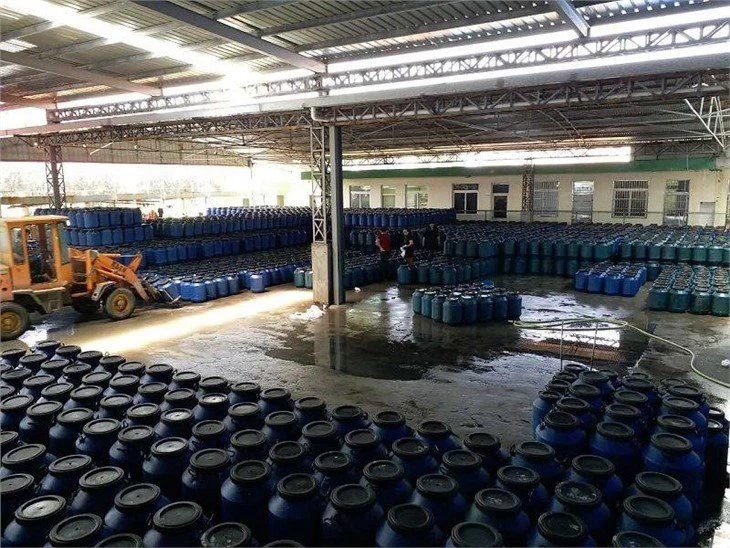 Preserved drum packing white champignon in brine