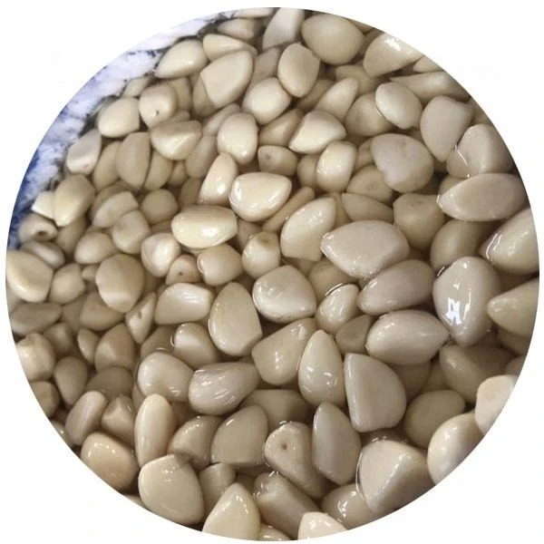 Pickled garlic in brine in plastic drums