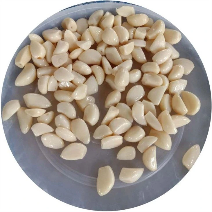 Factory salted garlic peeled garlic in brine