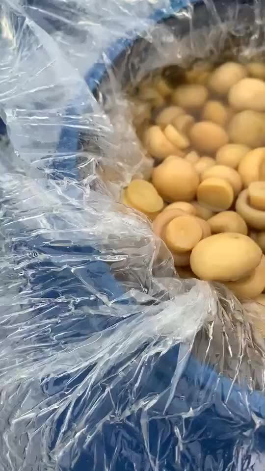 Preserved whole mushroom in drums