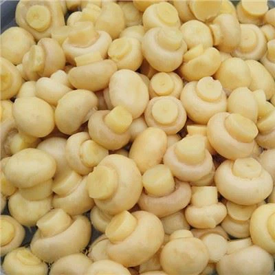 Champiñón en Conserva en Tambores