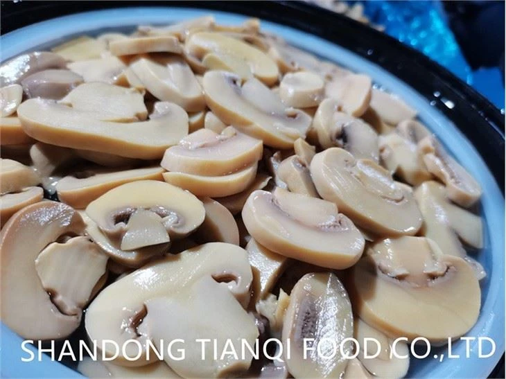 Best Brined Mushroom in Drum 50kg