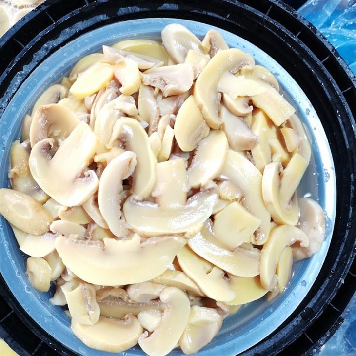 Brined Salted Mushroom in Plastic Drums