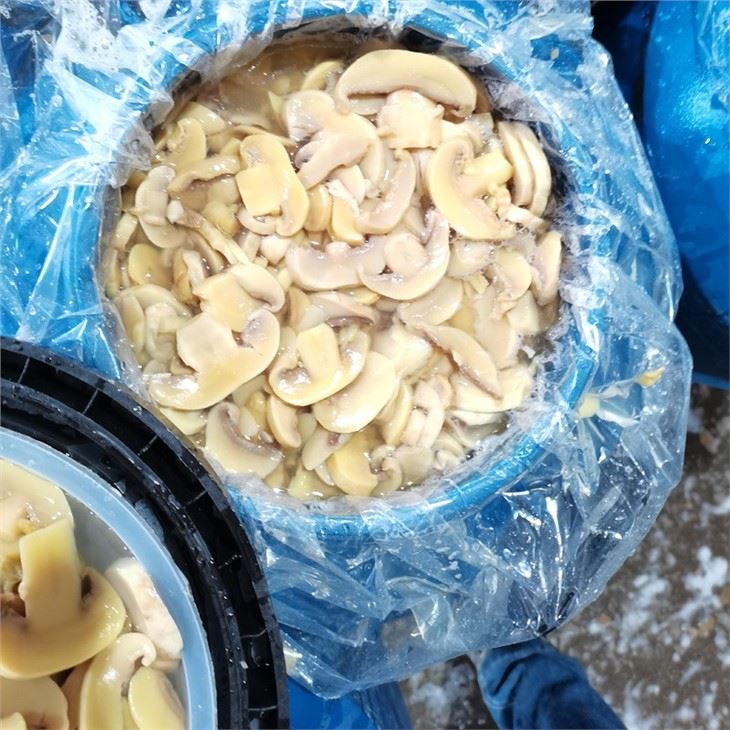Sliced white mushroom in drums