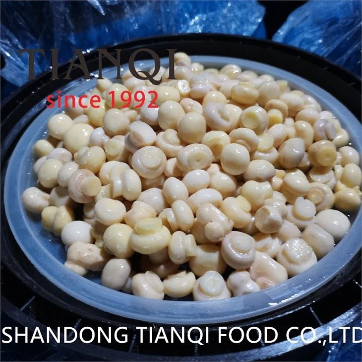 Hongos Frescos en Salmuera