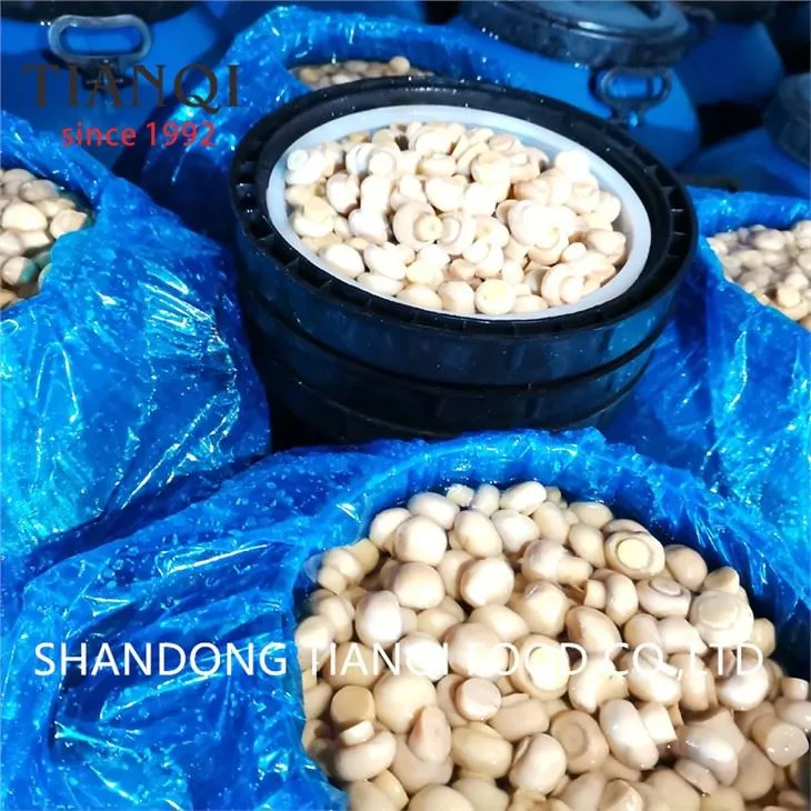 Hongo en tambores en fábrica de vinagre