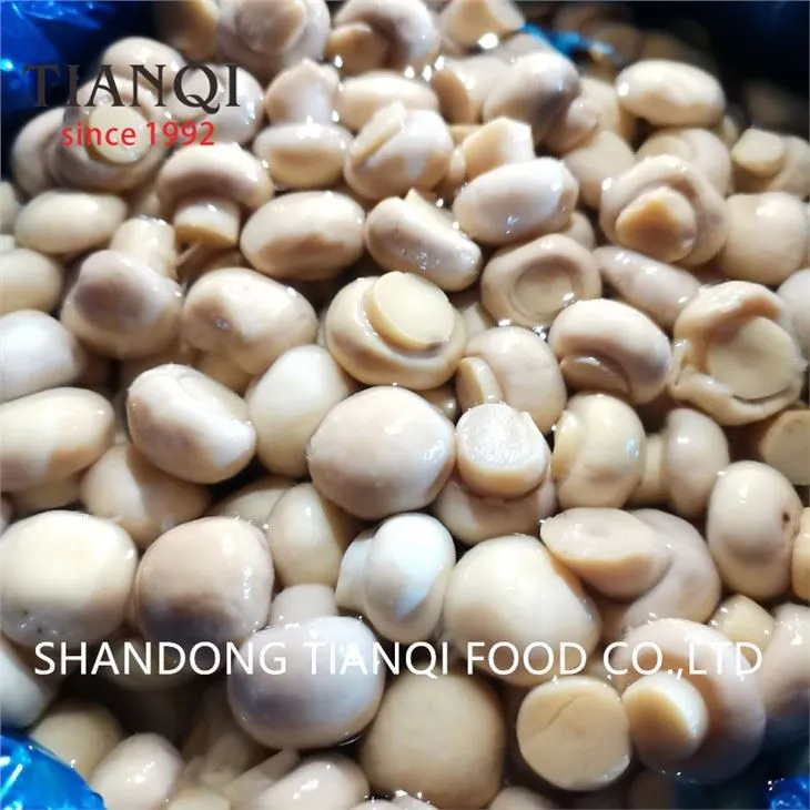 Champiñones Enteros en Vinagre en Tambores