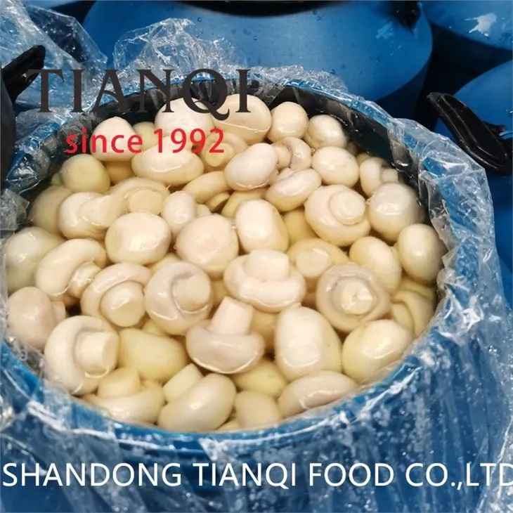Drum packing whole white mushroom in salty water