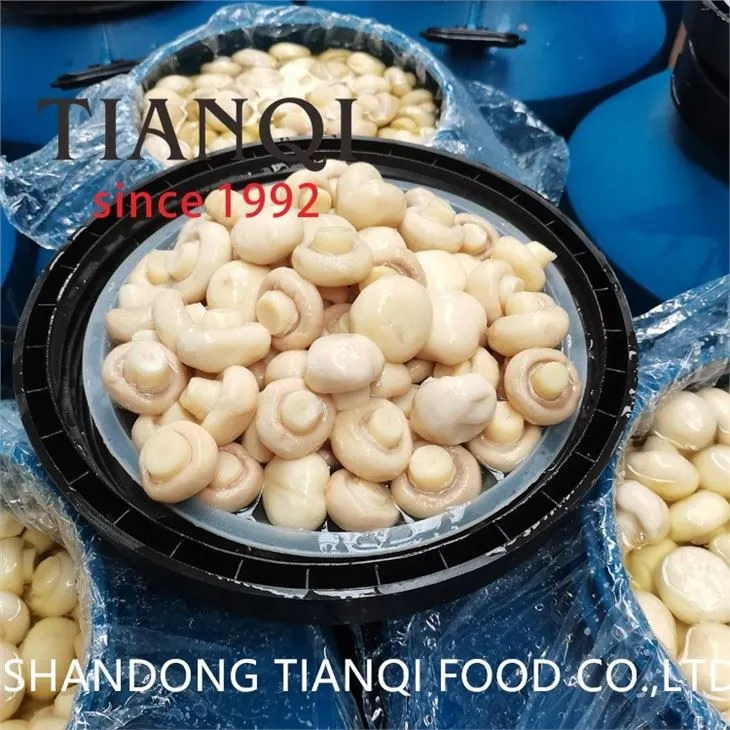 Drum packing high quality mushroom in drums
