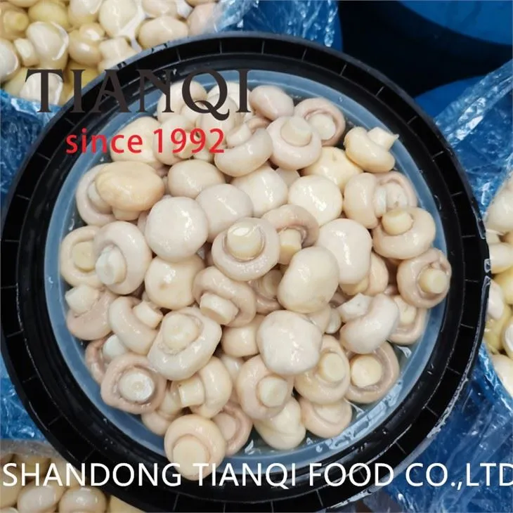 Muhsoom blanco de marca privada en vinagre en tambores