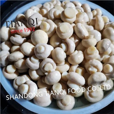 Champiñón Entero En Vinagre En Bidones De Plástico