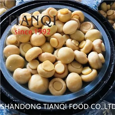 Champiñón Champignon en rodajas en tambores
