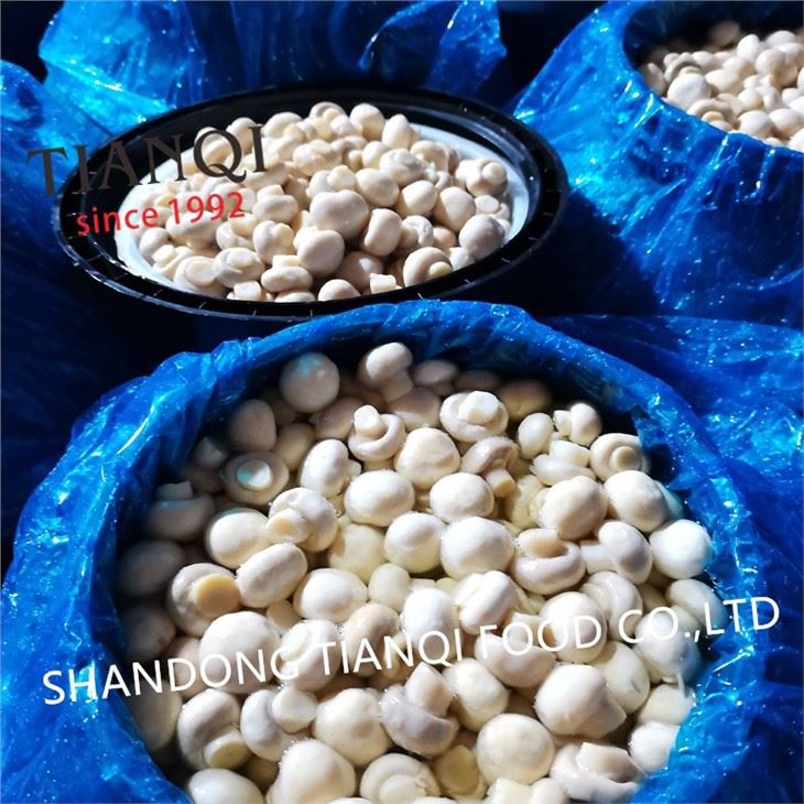 Drum packing Mushrooms