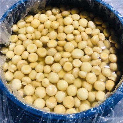 Seta Blanca Cultivada en Salmuera en Tambores