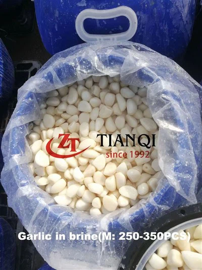 Dientes de ajo pelados en conserva en salmuera en tambores