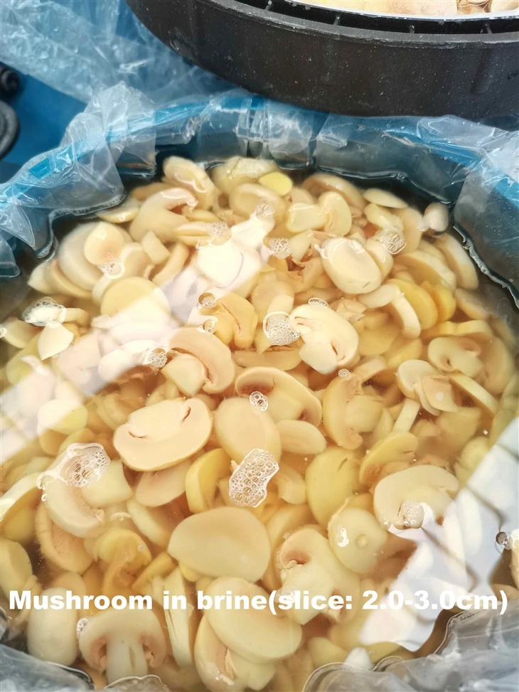 Champiñón Blanco en Salmuera en Tambores